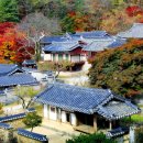 조정서원 | ‘한국의 서원’이라는 이름으로 유네스코 세계 유산