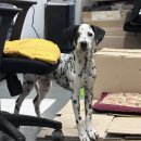 애드티브이노베이션(주) | ep.12 어디까지 미룰 수 있는지 궁금한 내 일상