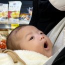 가고파세탁 이미지