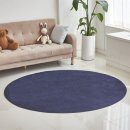 심플릿
