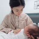 알렉필라테스 네이버블로그