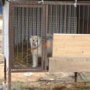 승준농장 이미지