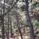 죽산축산 이미지