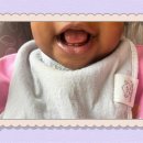 MY DOG GROOMING 이미지