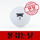 PXG - 수원시 영통구 동탄원천로1133번길 5 | PXG