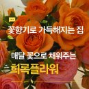 꽃향기머무는집 | [공지] [희록플라워] 꽃향기로 가득해지는 집, 매달 꽃을 선물받는 기분