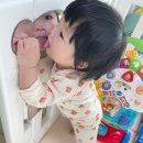 [8개월아기놀이] 우리집 거울공주 / 내돈내산 아크릴거울