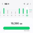 비481 이미지