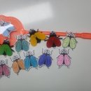 한국교구 이미지