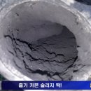 더클리닝 이미지