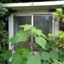 법환동-9 이미지