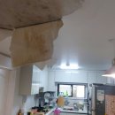 오포1동-9 | 경기도 성남시 분당구 서현동 우성아파트 배관 파열 천장 누수 도배시공작업 후기