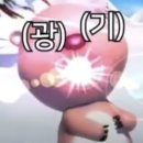에코이지