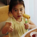 도그앤조이(Dog&Joy) | 여름방학 아이 간식으로 푸드앤조이 미니핫도그