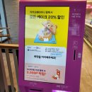 베라 나와라 꼬부기 취향저격