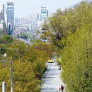 능동로 Daum카페