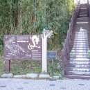 대왕암공원타워주차장화장실 | 울산 대왕암공원 출렁다리 주차 산책로 울기등대 여행 가볼만한곳 추천