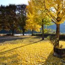 삼계초등학교 이미지