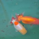 다빈농장 이미지