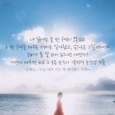 다정소감 - 김혼비 산문집 - 이미지