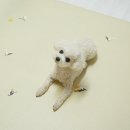 어 페일 블루닷 이미지