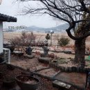 라플레르 카페