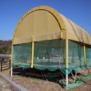 은해로운 캠핑장 이미지