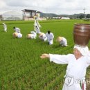 용전마을 입구 이미지