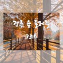 직동교 | 산책하며 힐링 하기 좋은 &#34;광릉 숲 둘레 길&#34;