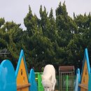 반려동물놀이터 | 대전 동구 반려동물 놀이터 후기 (+펫패스PetPass사용법)