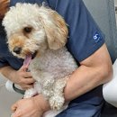 미사서울동물병원 이미지