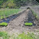 여주-0316 이미지