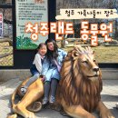 미라클랜드지역아동센터 | 청주동물원 아이와 가볼만한 추천포인트 다자녀 유모차 가능