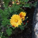 기억의 순간 이미지