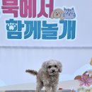 함께놀개 | 성북구 반려동물축제 성북에서 함께놀개 후기