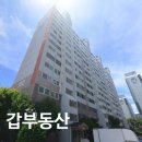 동산비사벌 이미지