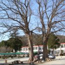 장성성산초등학교 이미지