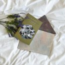 스톤스테이 이미지