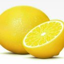 레몬의 효과 이미지