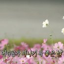 계곡식당 | 내돈내산 부산 근교 양산 원동 미나리 삼겹살 오겹살 | 순매원 매화 | 안선장 계곡식당 후기!