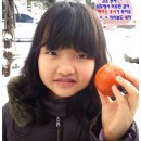 장금이 펜션 | [후기] 눈오는 연산나그네오토캠핑장