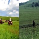 현대숙박 이미지