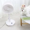 (주)디자인도노