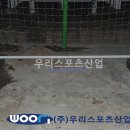 서울월천초등학교 이미지