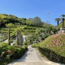 외도보타니아 이미지