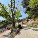 옥천 장령산 용암사, 가벼운 산책 산행 + 전망대 뷰가 좋은 곳