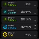 나의 첫 마라톤 대회, 2024 서울레이스 11km 우당탕탕 참가 후기 (주차/날씨/병목 등)