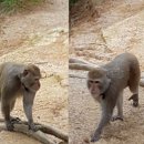 불광2-052 네이버블로그