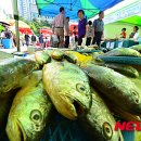 축산물직거래장터 이미지