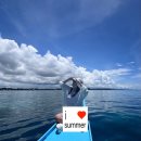 우짤낀데 | 보홀 태교여행 4 (프라이빗호핑투어, 보홀 하루 필름 , 몬스터크랩 픽드랍 후기)